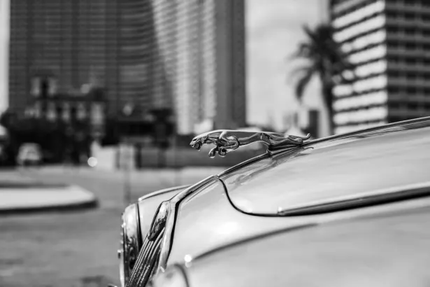 ΜπετΡεγκαλ Καζίνο Εφαρμογή Android/iOS